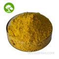 Vitamin B2 Futter Riboflavin CAS 83-88-5 b1